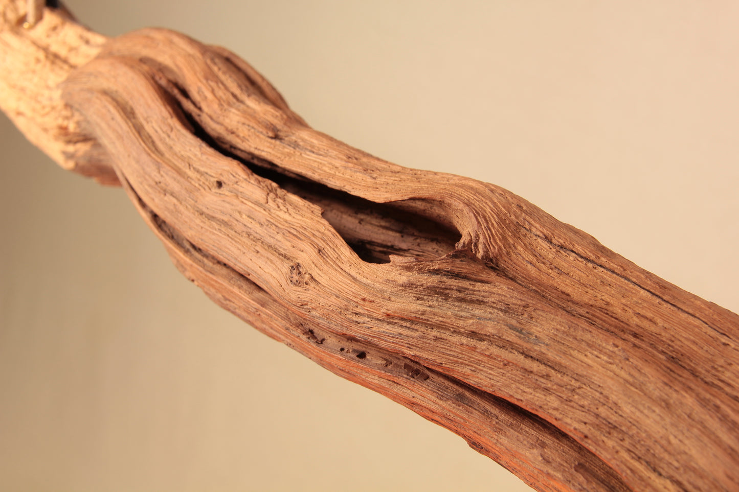 Lampe de table à manger - fait main pièce unique - 160cm branche de chêne