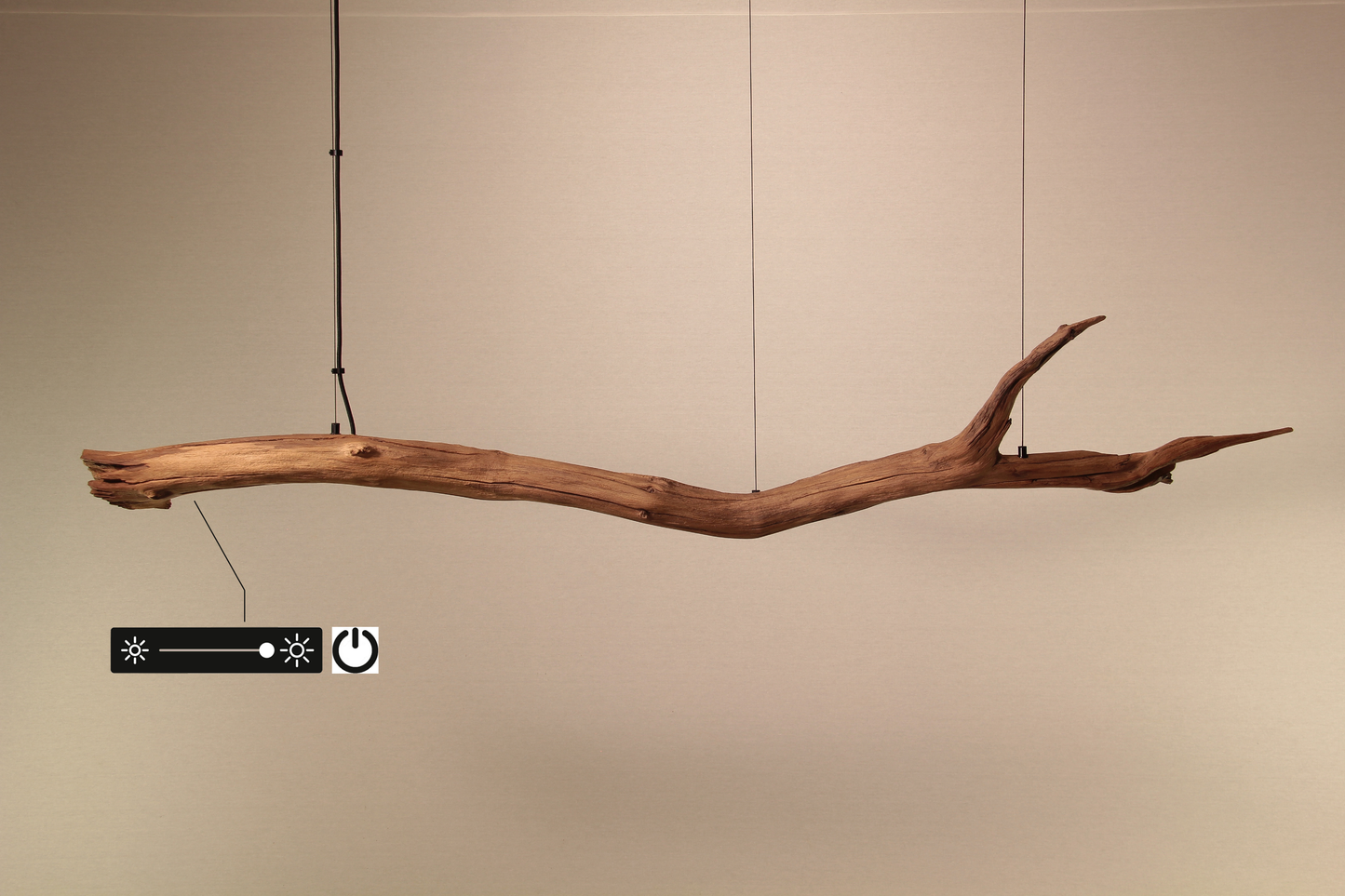 Lampe de table / bande LED / 174 cm branche de chêne