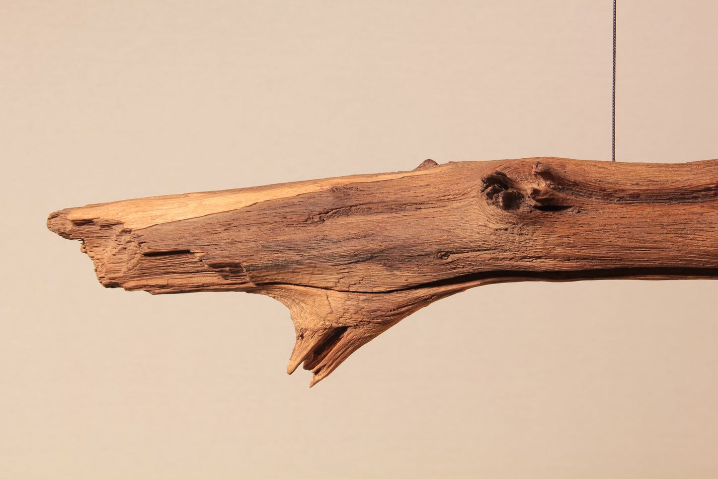 Lámpara de mesa de comedor - pieza única hecha a mano - rama de roble 164cm