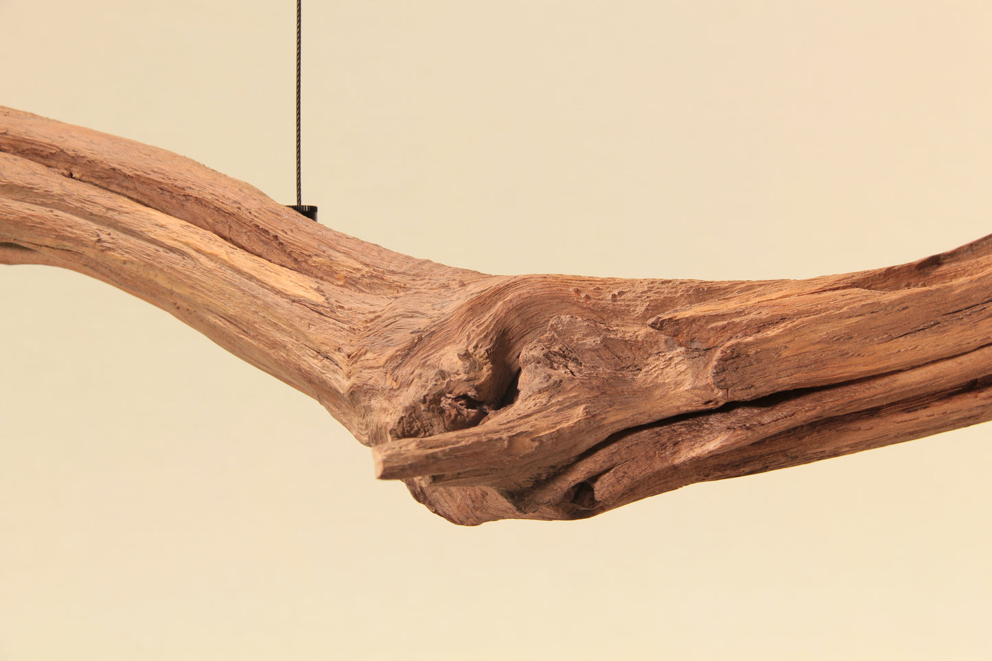 Esstischleuchte - handgefertigtes Unikat - 163cm Eichenast
