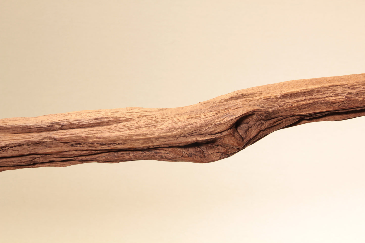 Lampe de table à manger - pièce unique fabriquée à la main - branche de chêne de 234 cm