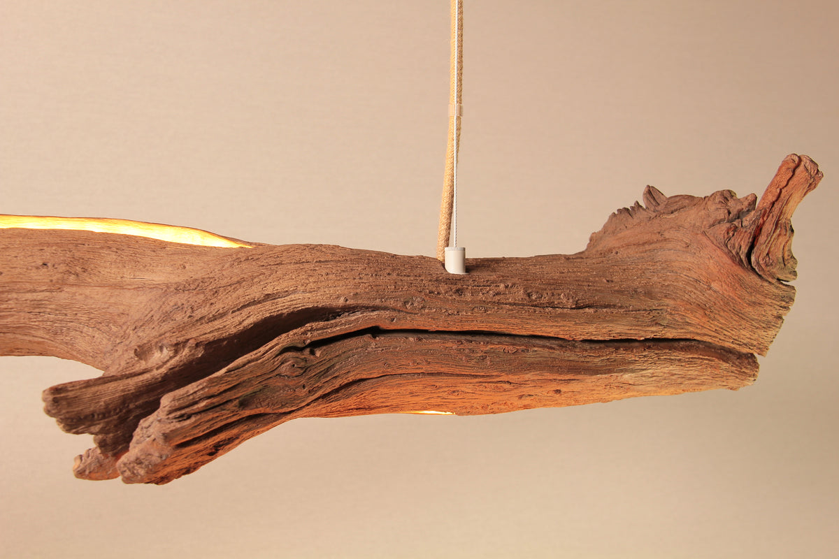 Lampe de table / bande LED / 147 cm branche de chêne