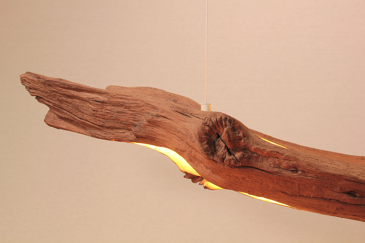 Lampe de table / bande LED / 147 cm branche de chêne