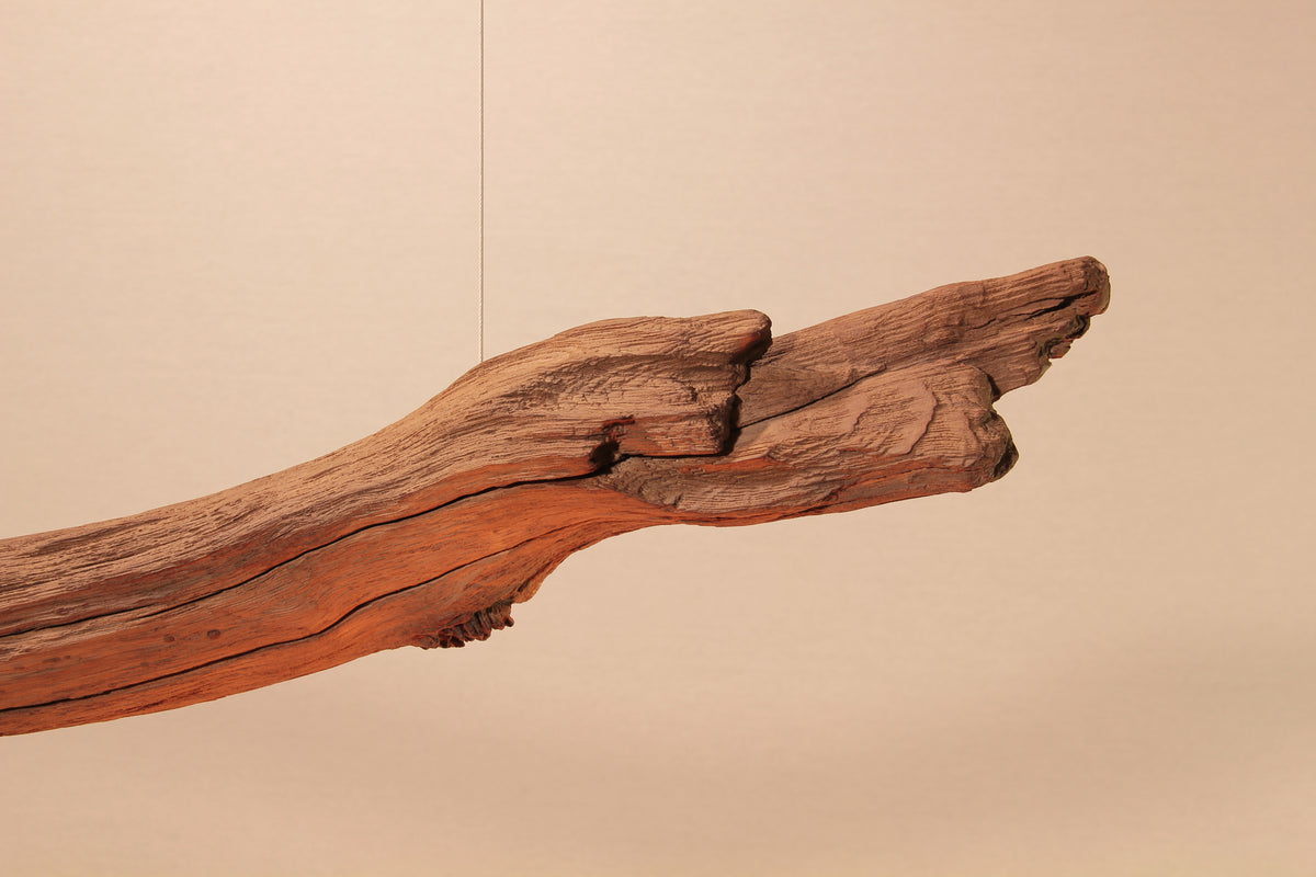 Lampe de table / bande LED / 147 cm branche de chêne