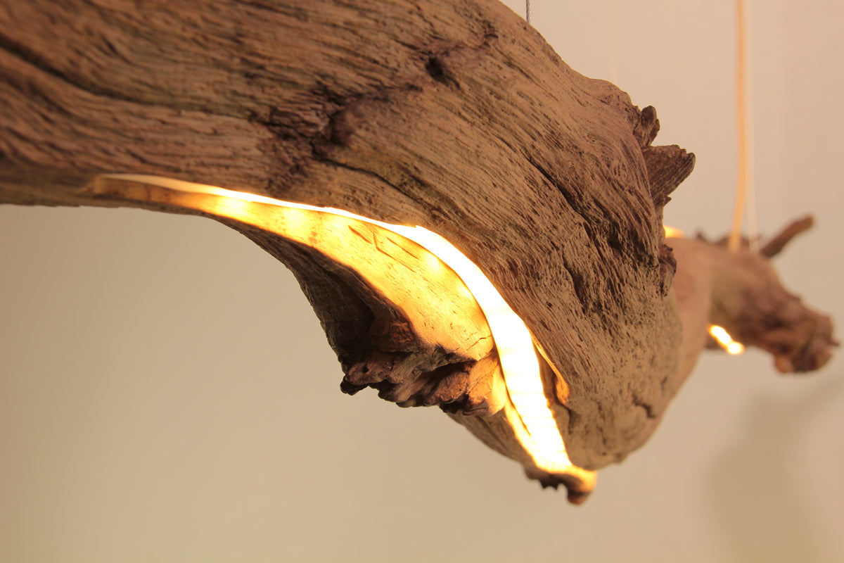 Lampe de table / bande LED / 147 cm branche de chêne