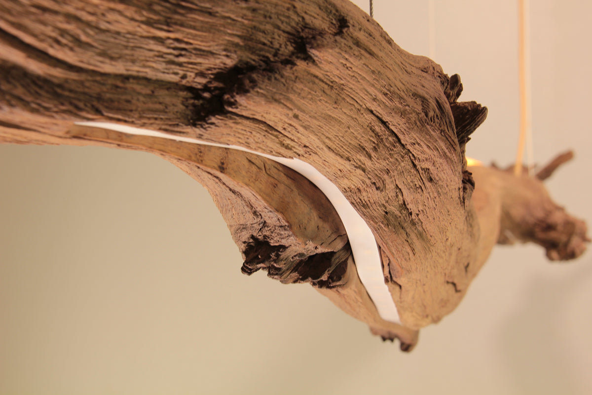 Lampe de table / bande LED / 147 cm branche de chêne