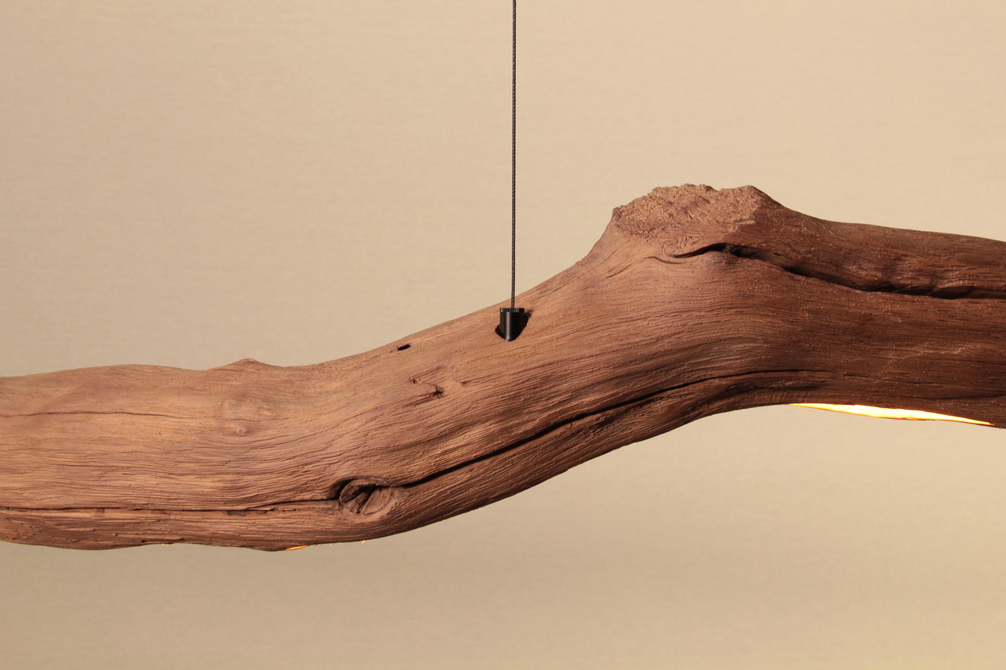 Dining table lamp - handmade unique piece - 245cm oak branch 2