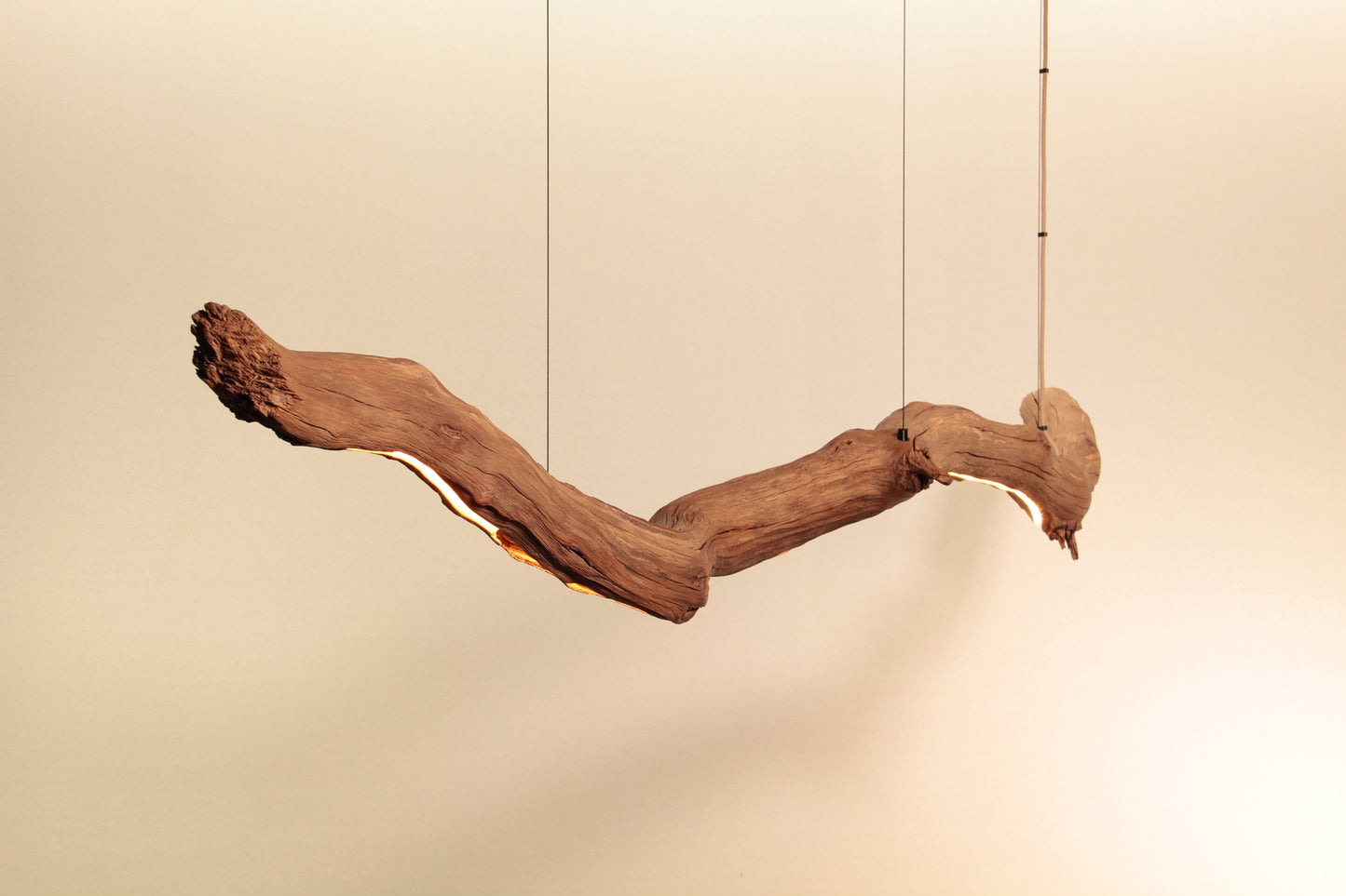 Dining table lamp - handmade unique piece - 245cm oak branch