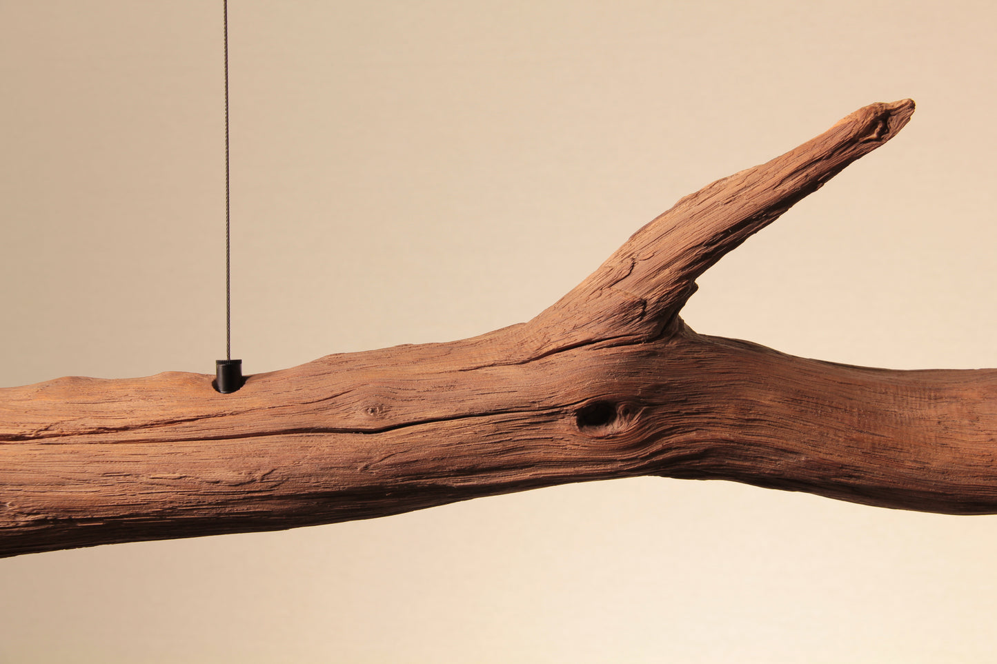 Dining table lamp - handmade unique piece - 245cm oak branch 2