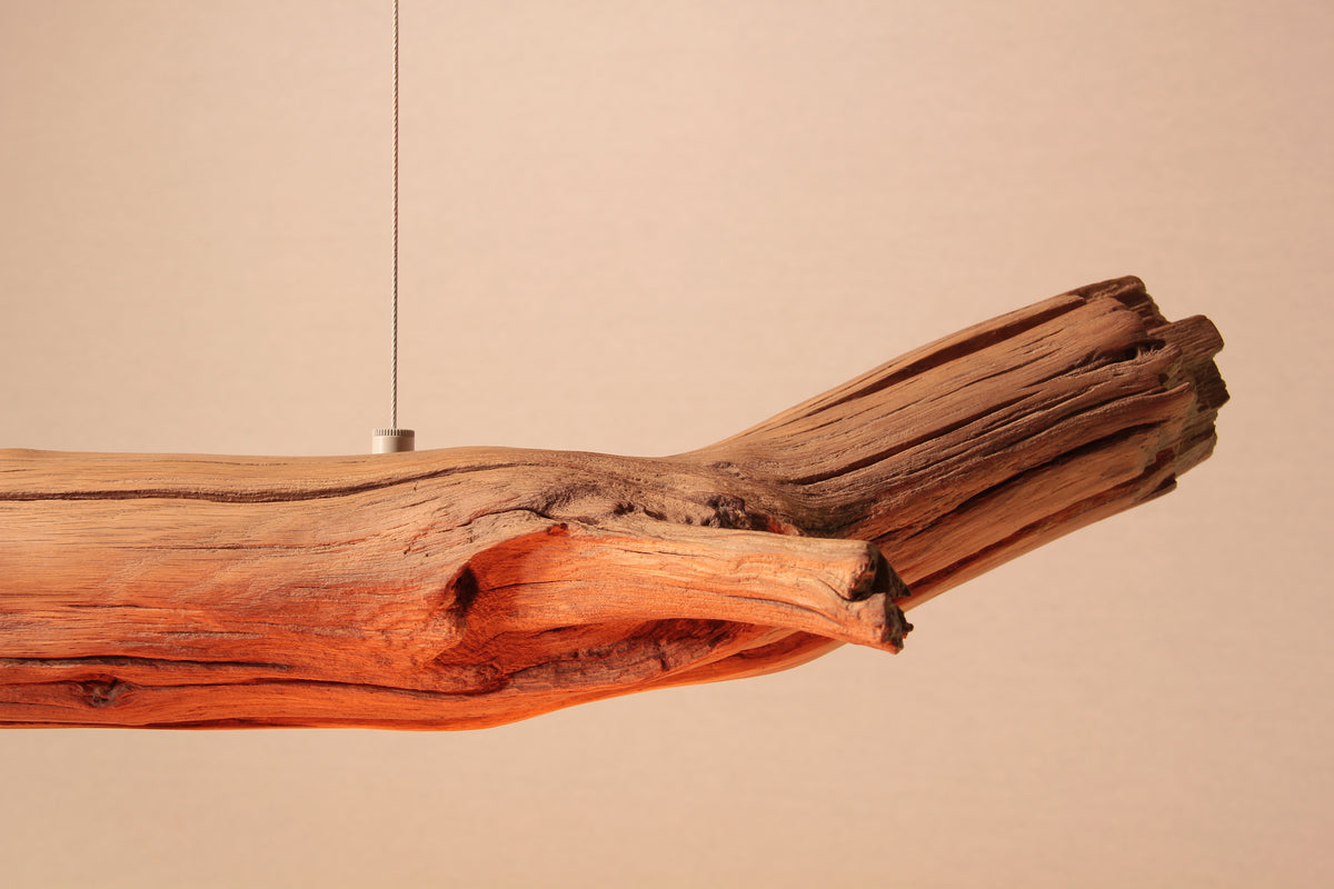 Lampe de table / branche de chêne de 118 cm / "Le teint parfait