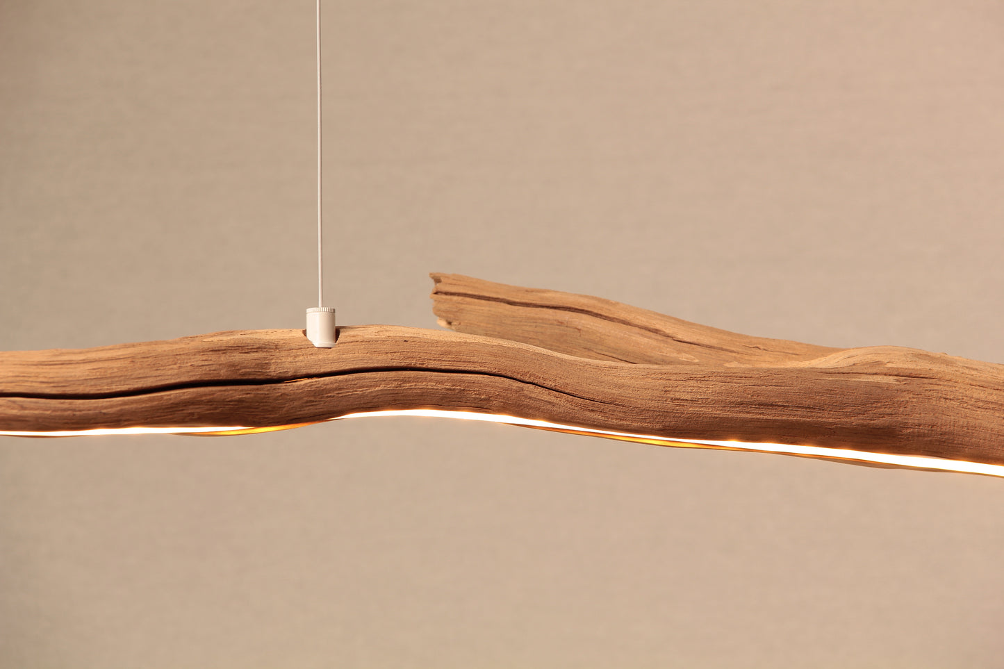 Lampe de table / bandes LED / 168 cm branche de chêne