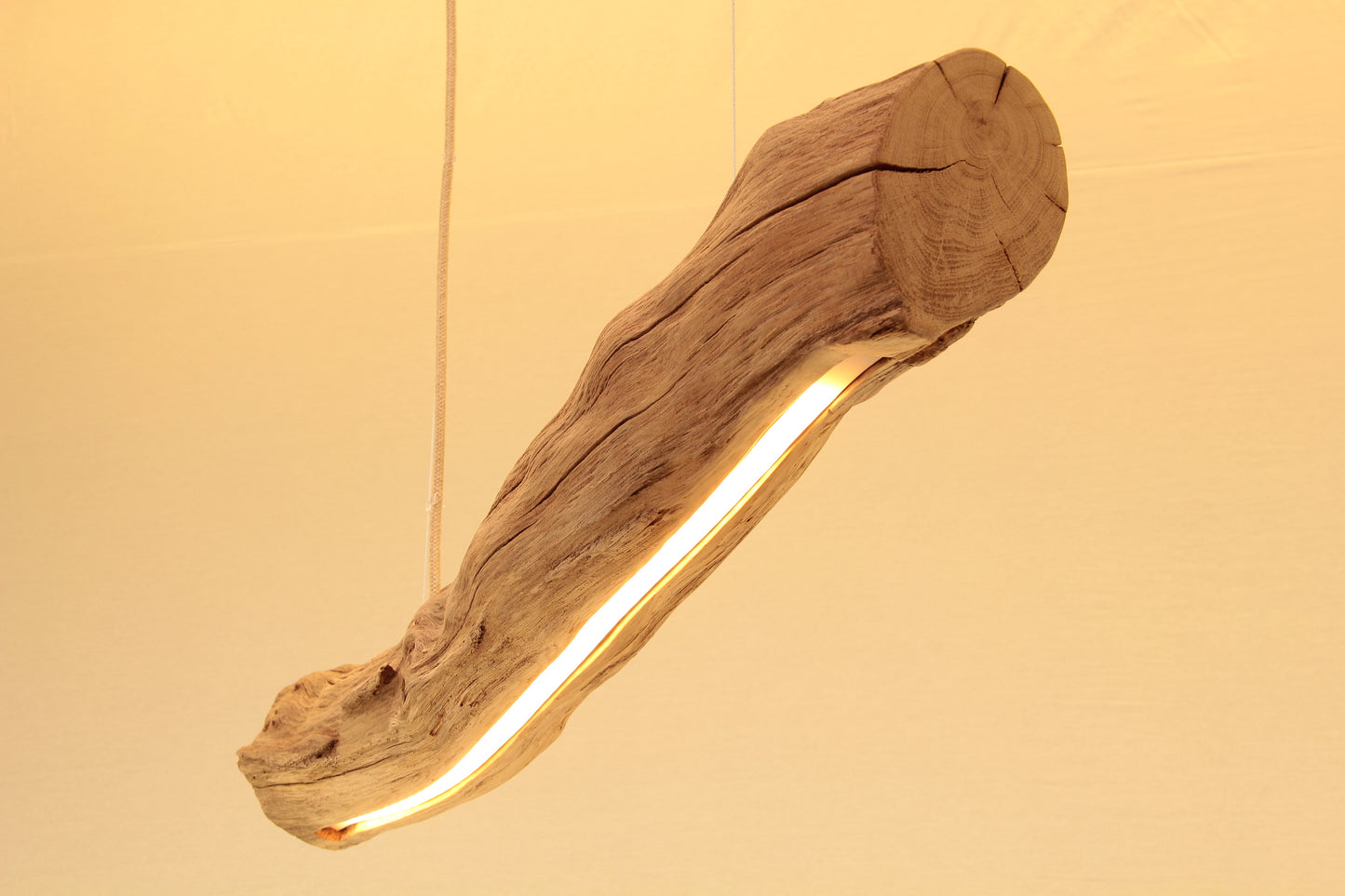 Lampe de table / bande LED / 96 cm branche de chêne