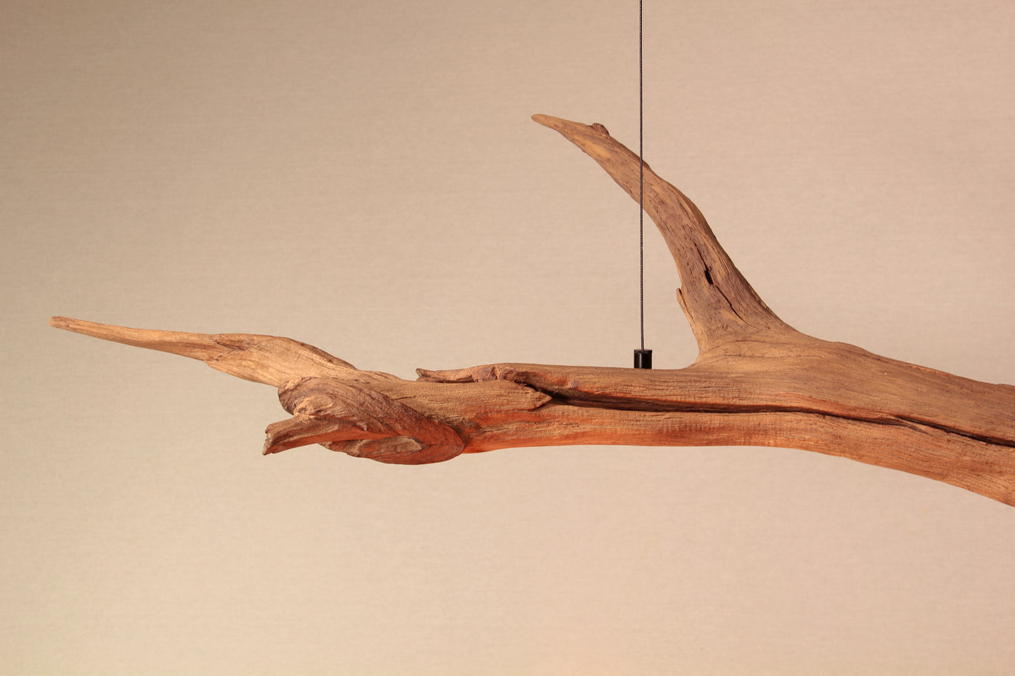 Dining table lamp / LED strip / 174 cm oak branch