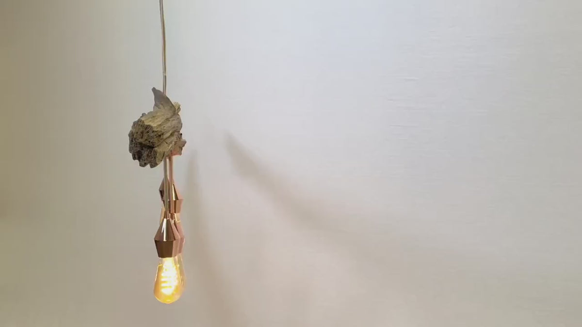 Hängelampe / 186cm langer Eichenast / Einzelstück / Holz / Ast / Pendelleuchte / Küchentisch / Deckenlampe / Esstischlampe / modern
